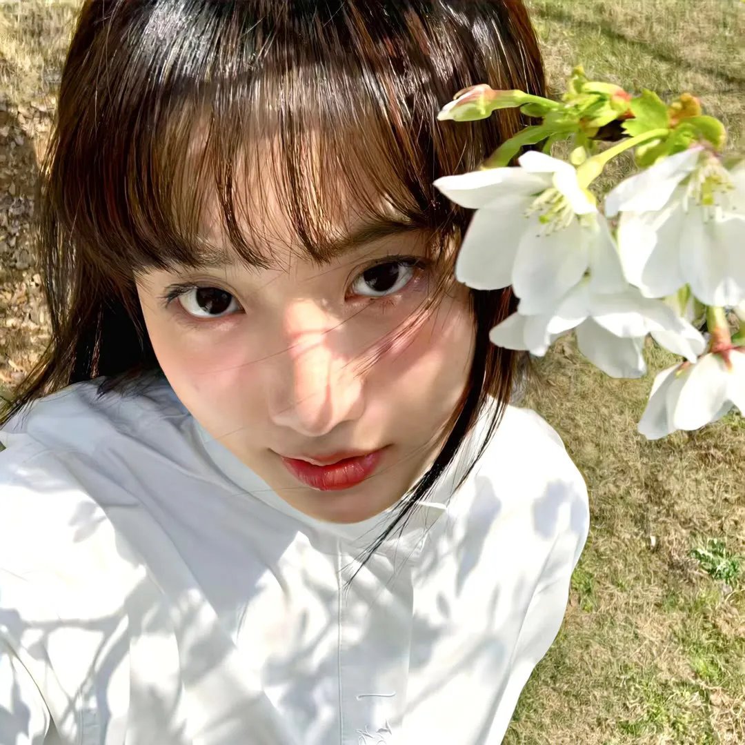 理性和感性